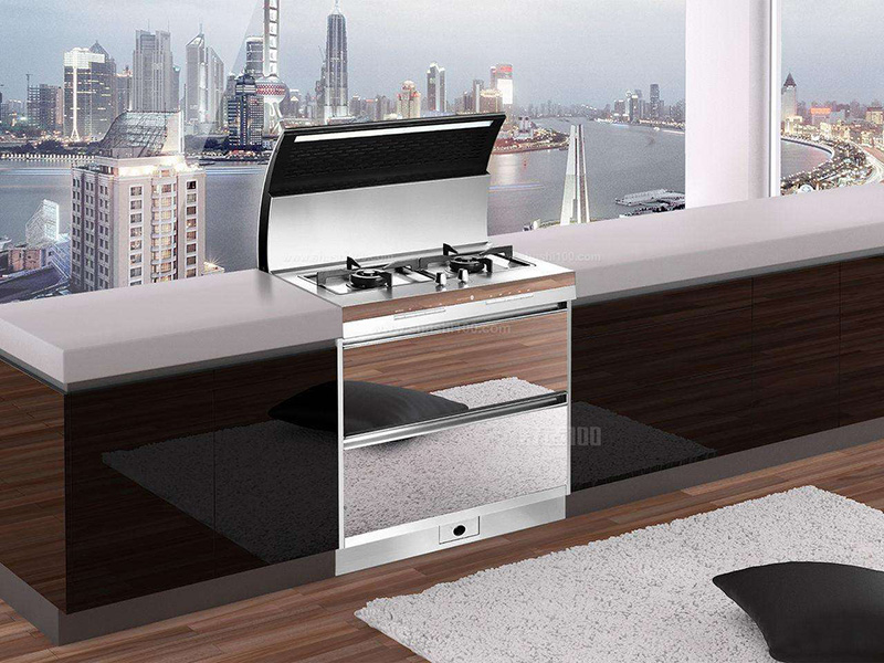 集成灶10大品牌