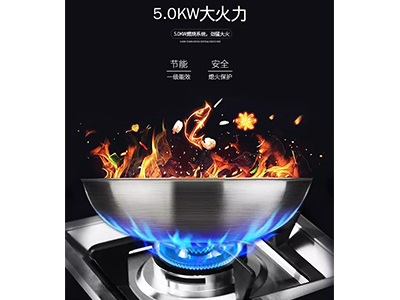 厨房神器莱普LP03DM，让你在家也能满汉全席