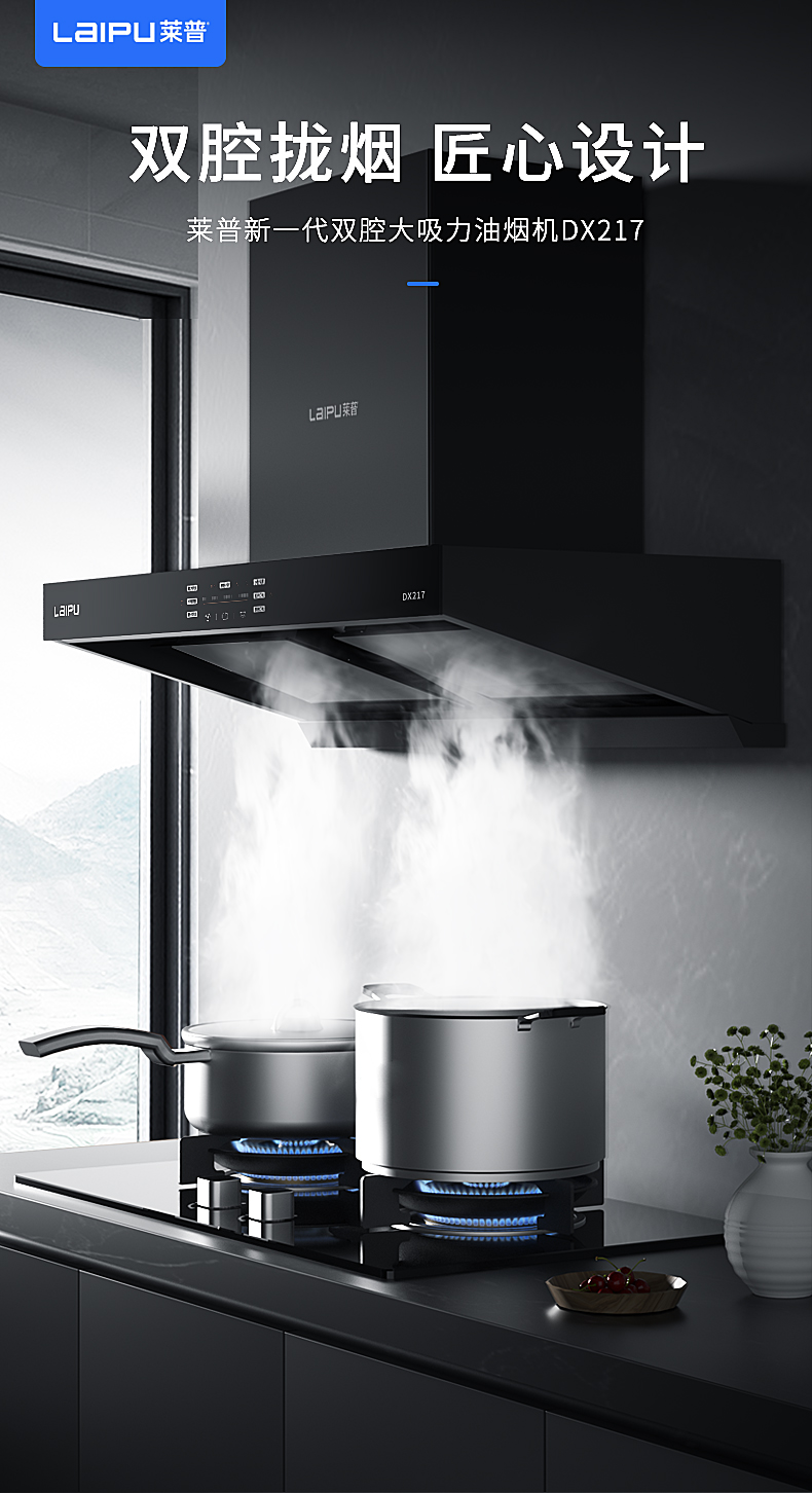 莱普新一代双腔大吸力油烟机DX217 双腔拢烟 匠心设计！