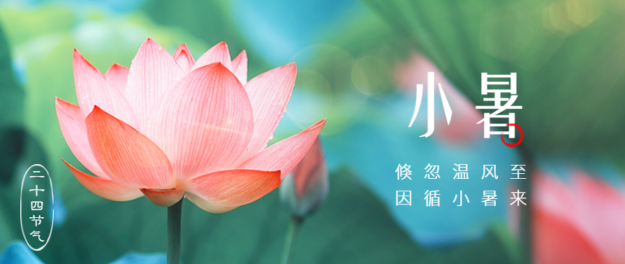 小暑 | 夏天厨房用莱普集成灶更清爽！