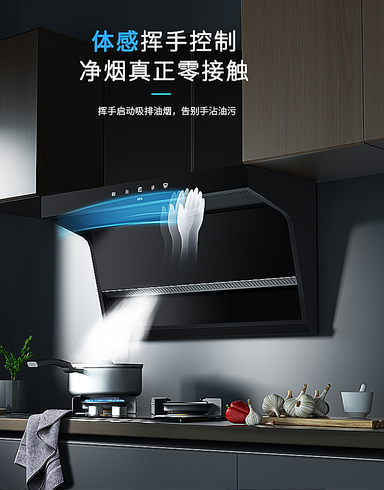 小烟机大哲学，莱普油烟机带你智享高端品质生活！