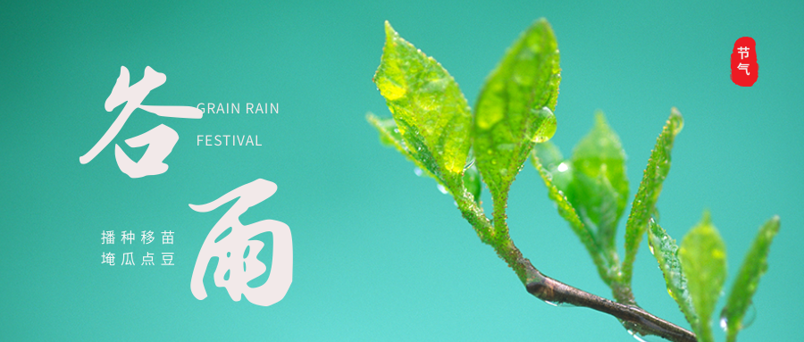谷雨 | 雨水生百谷，美好始如初