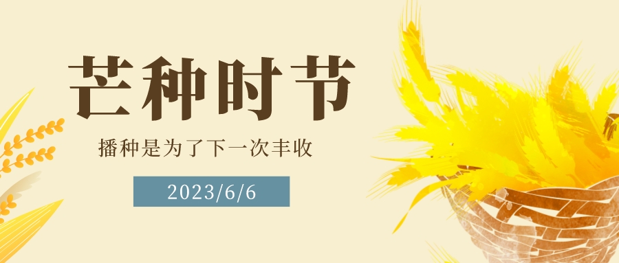 今日芒种丨忙有所得 耕有所获