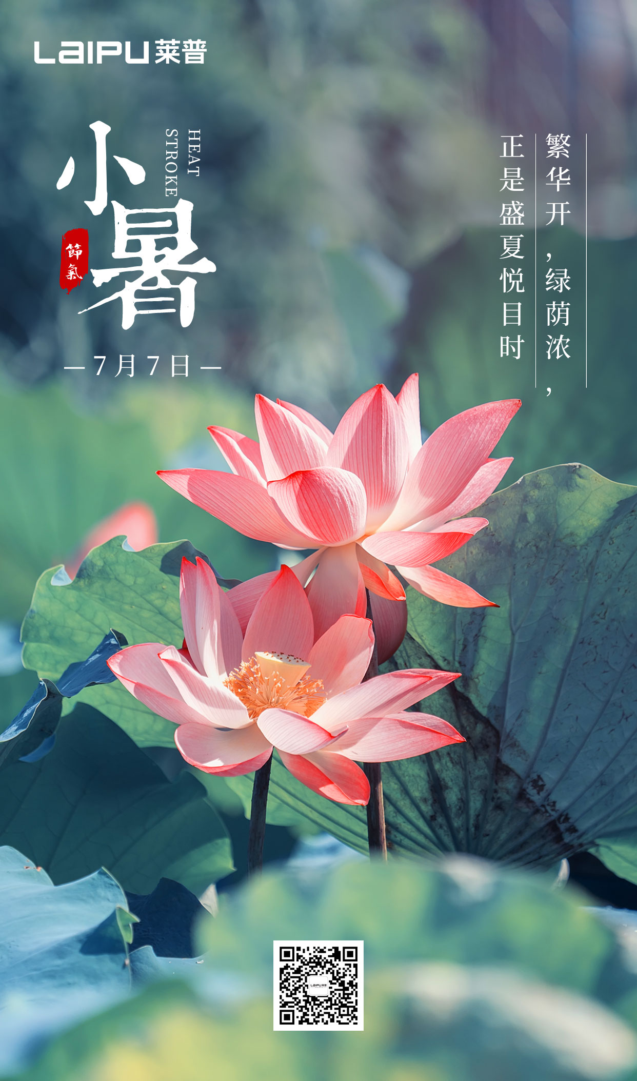 小暑丨小暑清和夏日长，厨房无烟风自凉