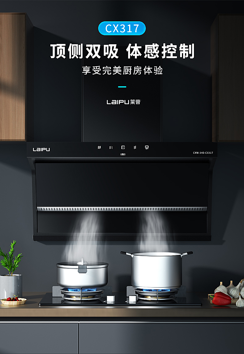 莱普油烟机 ▏顶侧双吸，立享清新厨房