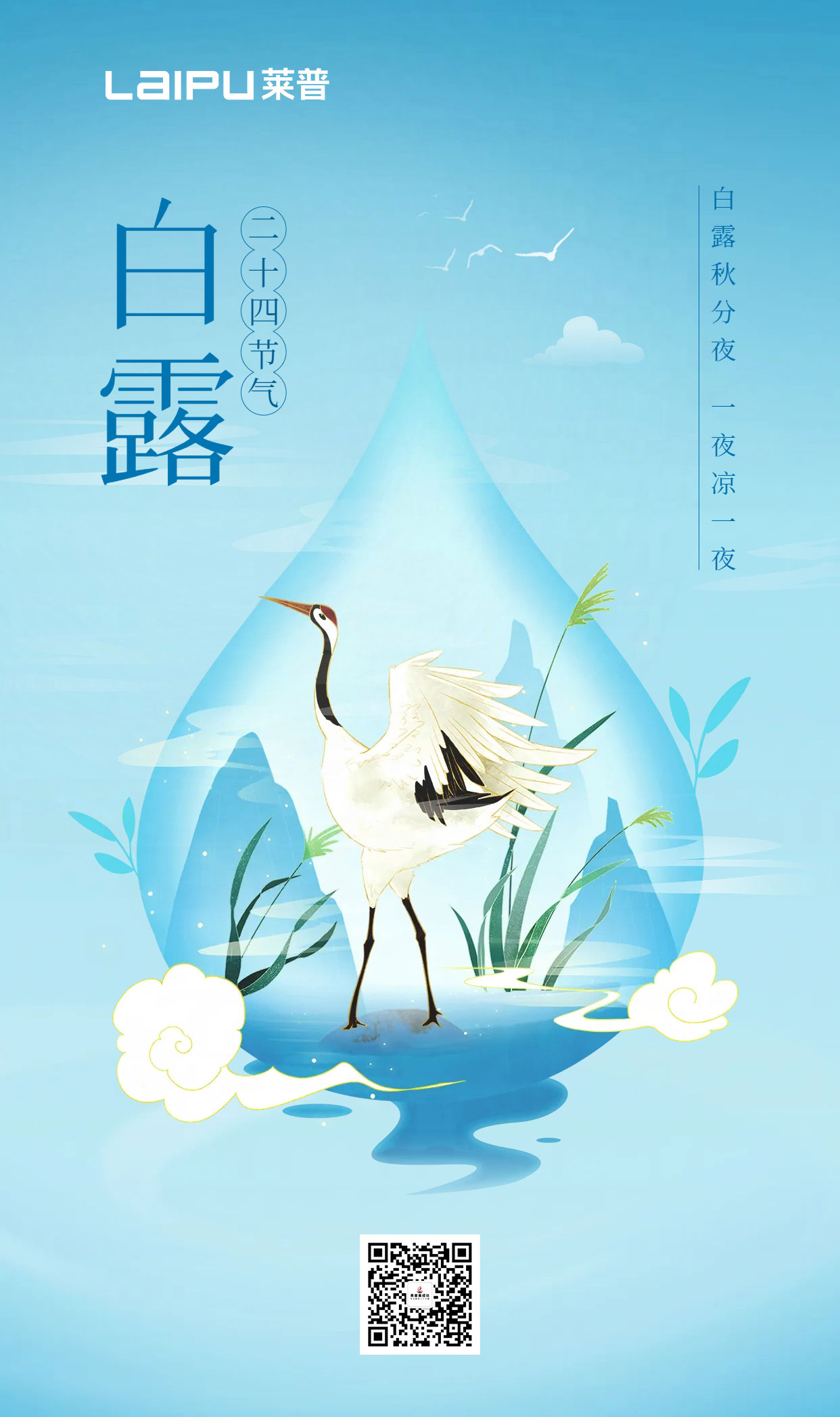 白露为霜，仲秋微凉